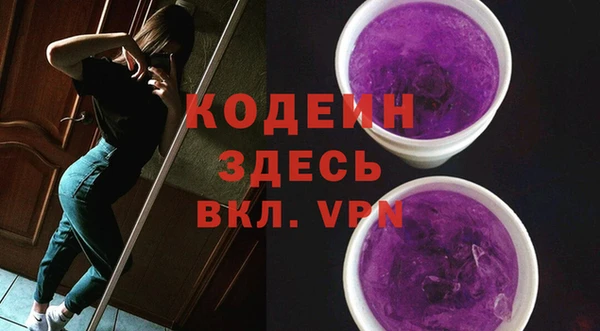 PSILOCYBIN Кукмор