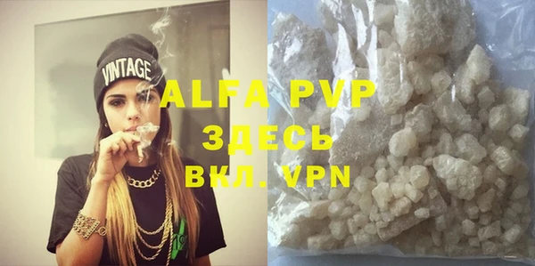 PSILOCYBIN Кукмор